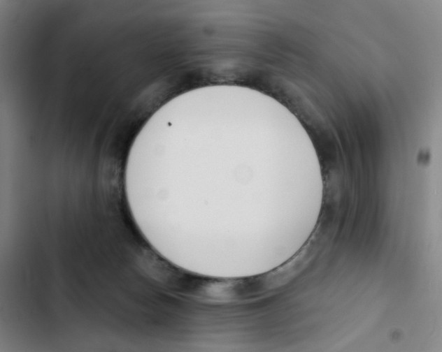 X0000102850178200809151136