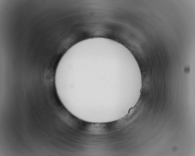 X0000102850179200809151136