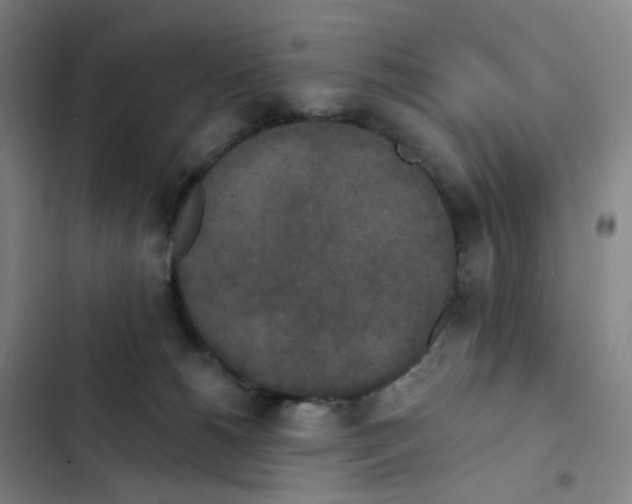 X0000102850180200809151136