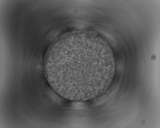 X0000102850181200809151136