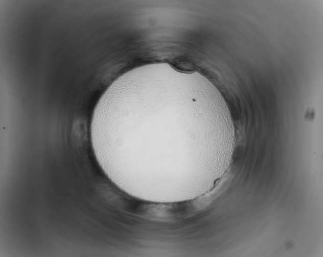 X0000102850182200809151136