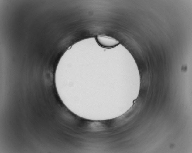 X0000102850183200809151136