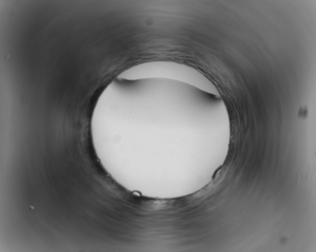 X0000102850184200809151136