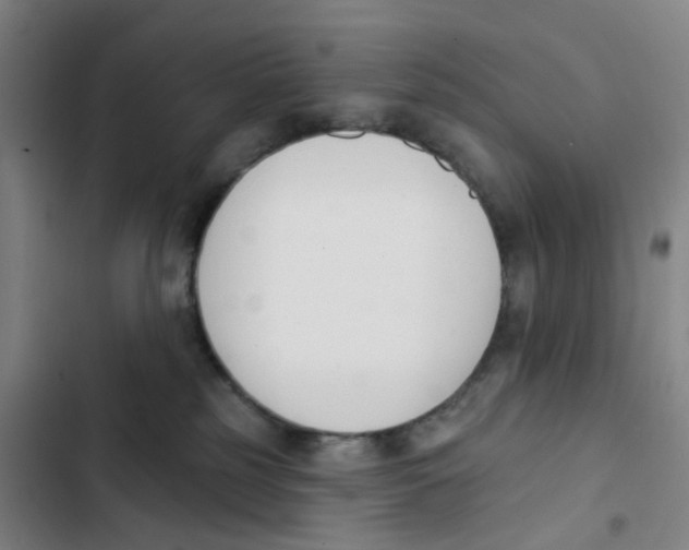 X0000102850185200809151136