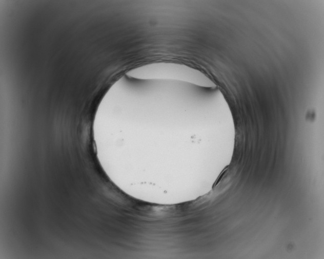 X0000102850188200809151136