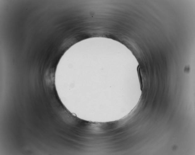 X0000102850190200809151136