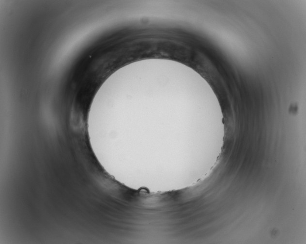 X0000102850191200809151136