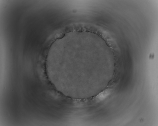 X0000102850192200809151136