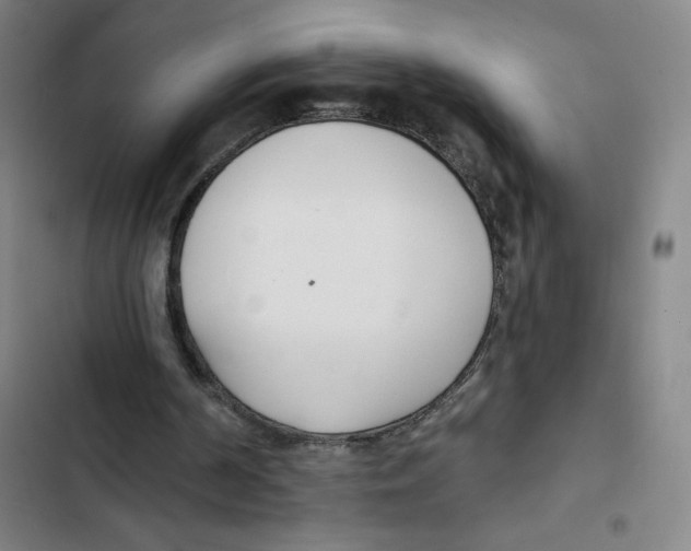 X0000102850194200809151135