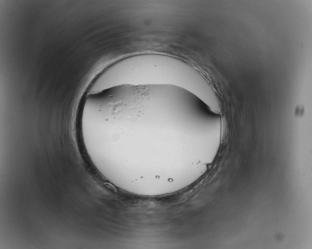 X0000102850195200809151135