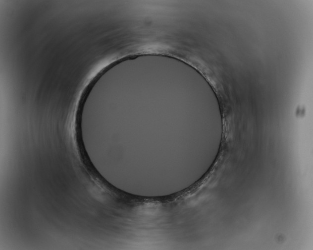 X0000102850196200809151135