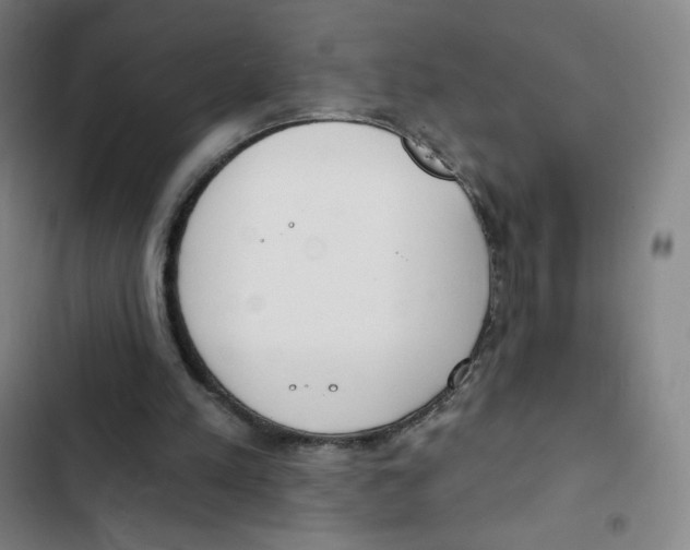 X0000102850197200809151135