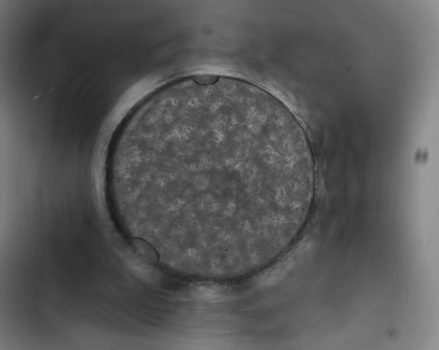 X0000102850199200809151135