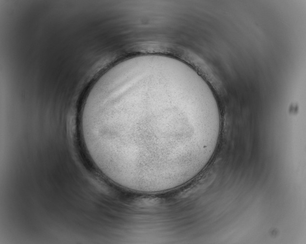 X0000102850202200809151135