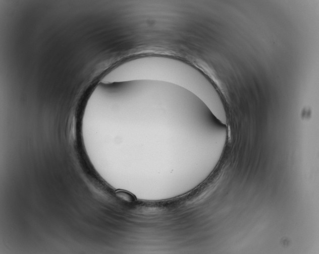 X0000102850205200809151135