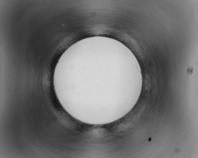 X0000102850210200809151135