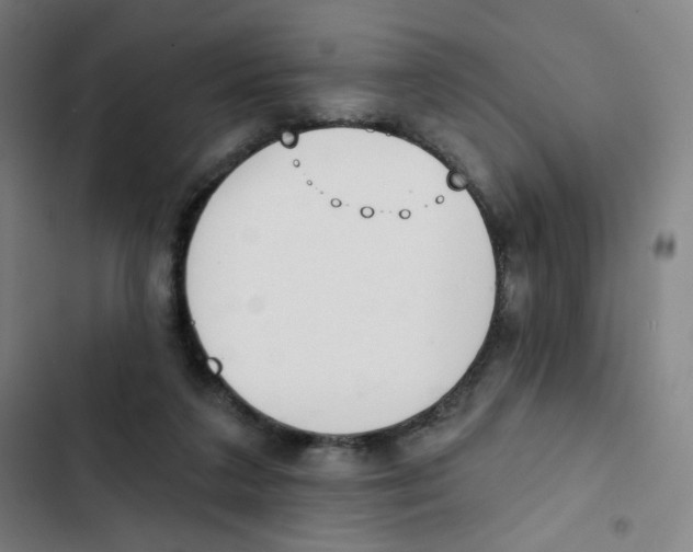 X0000102850211200809151135