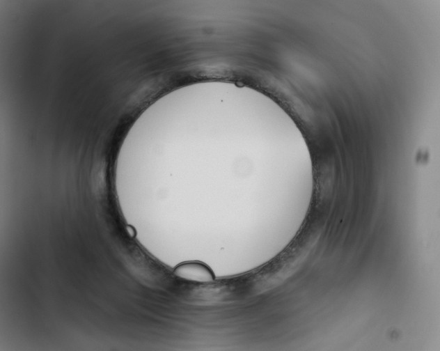 X0000102850213200809151135