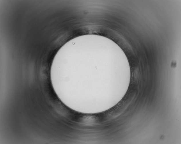 X0000102850218200809151135