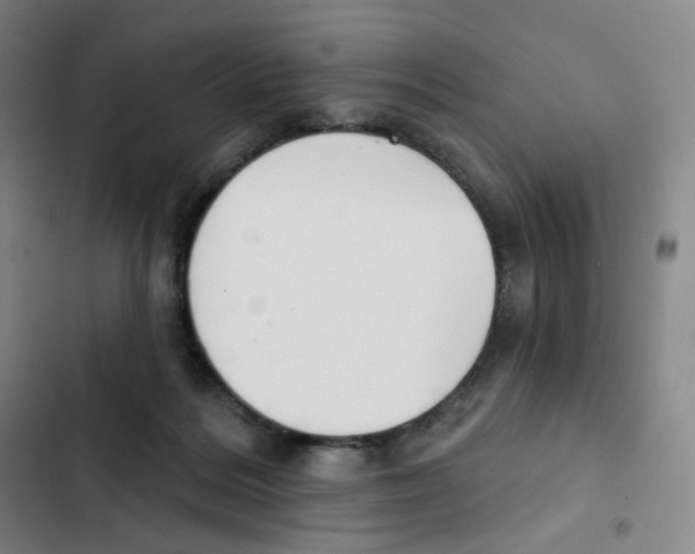 X0000102850220200809151135