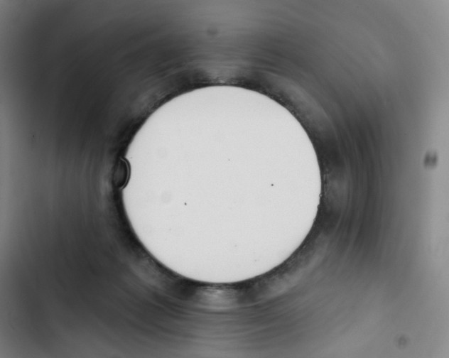 X0000102850221200809151135