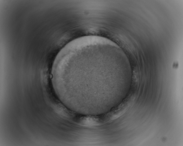 X0000102850223200809151135