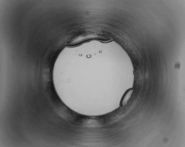 X0000102850224200809151135