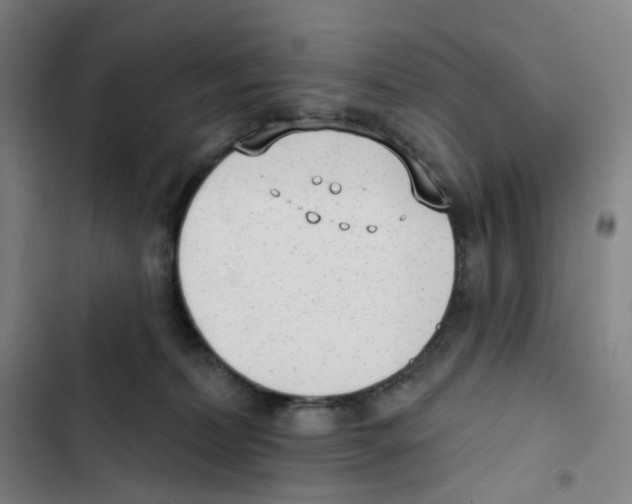 X0000102850228200809151135