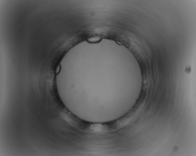 X0000102850231200809151135