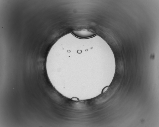 X0000102850232200809151135