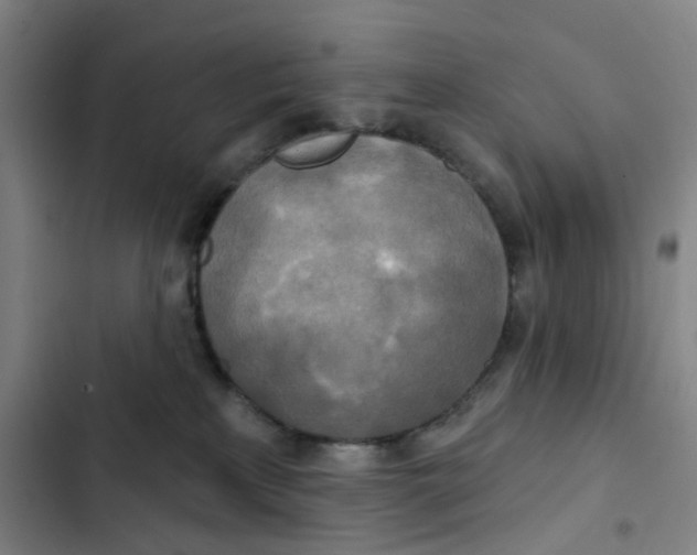 X0000102850233200809151135