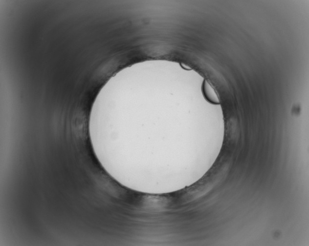 X0000102850234200809151135