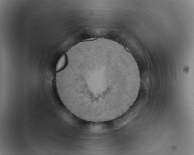 X0000102850235200809151135