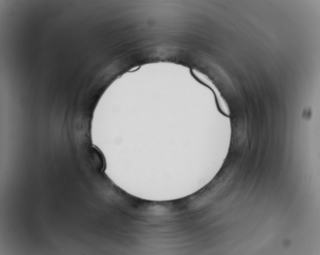 X0000102850236200809151135