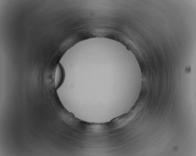 X0000102850237200809151135