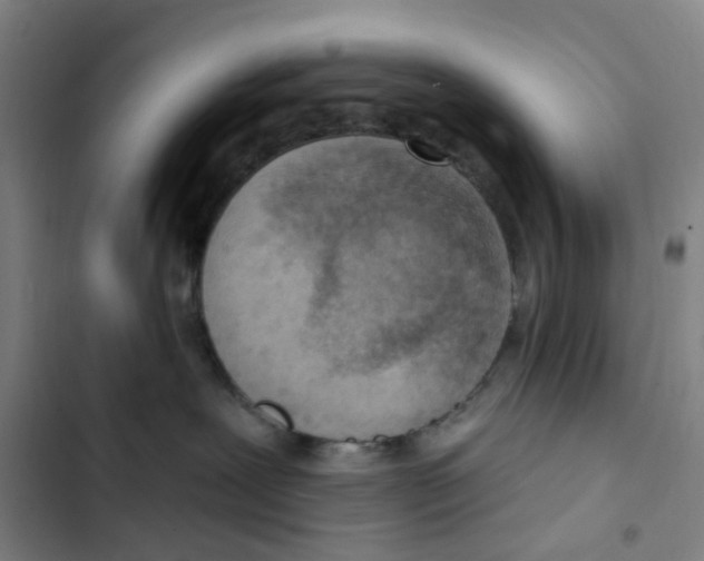 X0000102850239200809151135