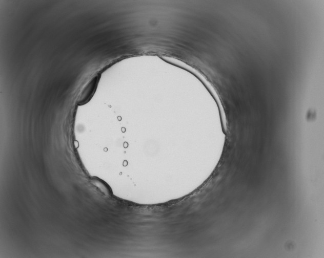 X0000102850241200809151134