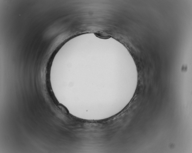 X0000102850242200809151134