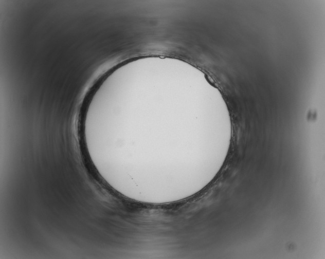 X0000102850244200809151134