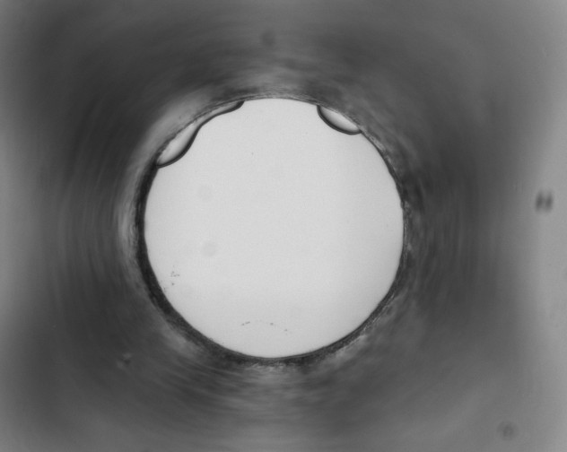 X0000102850245200809151134