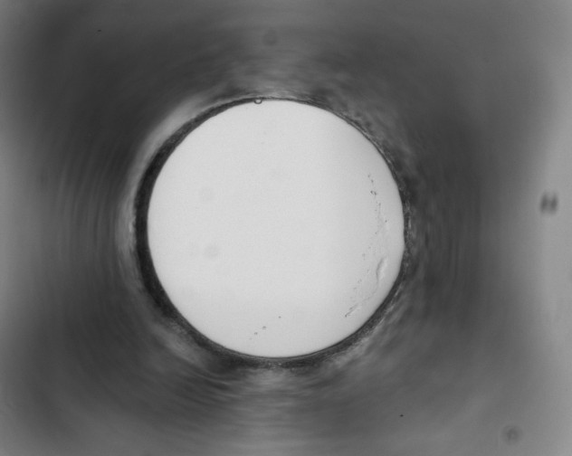 X0000102850246200809151134