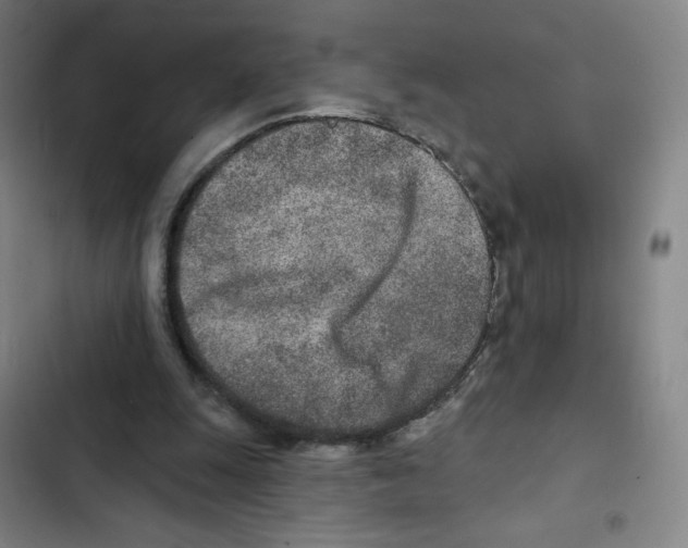 X0000102850247200809151134