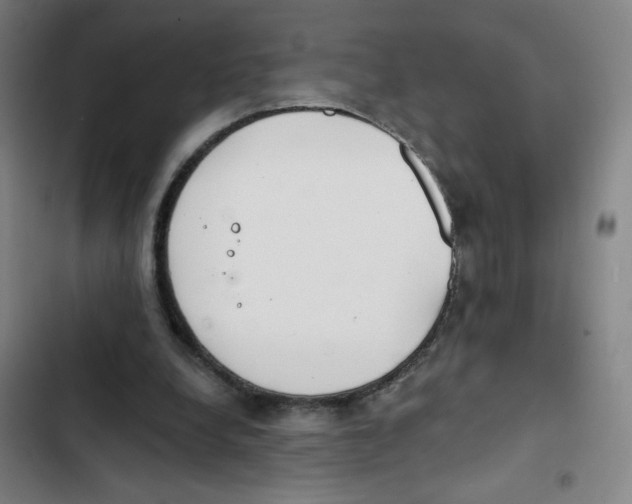 X0000102850248200809151134