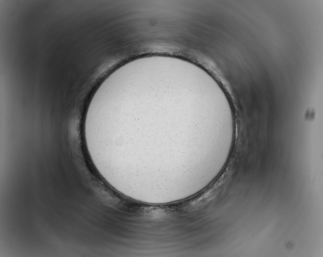 X0000102850249200809151134