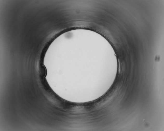 X0000102850252200809151134