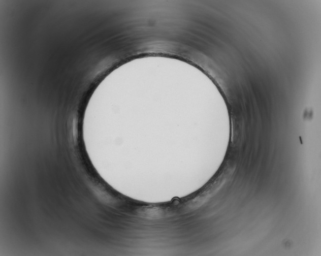 X0000102850253200809151134