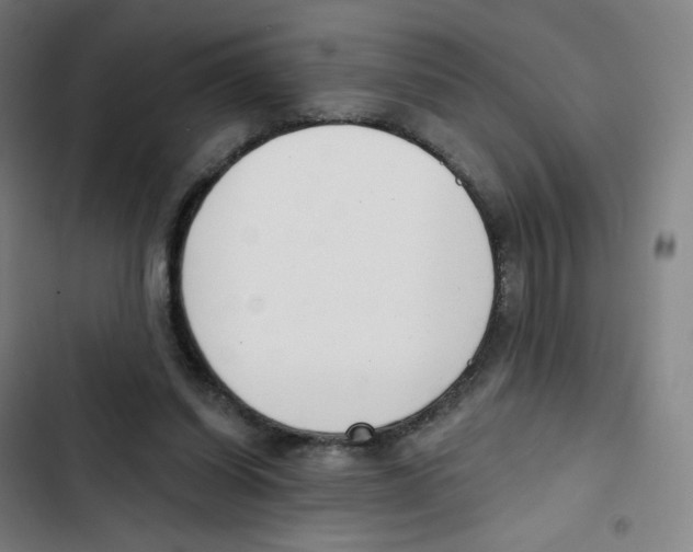 X0000102850254200809151134