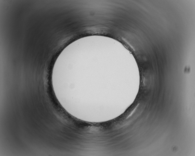 X0000102850255200809151134