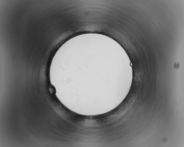 X0000102850256200809151134