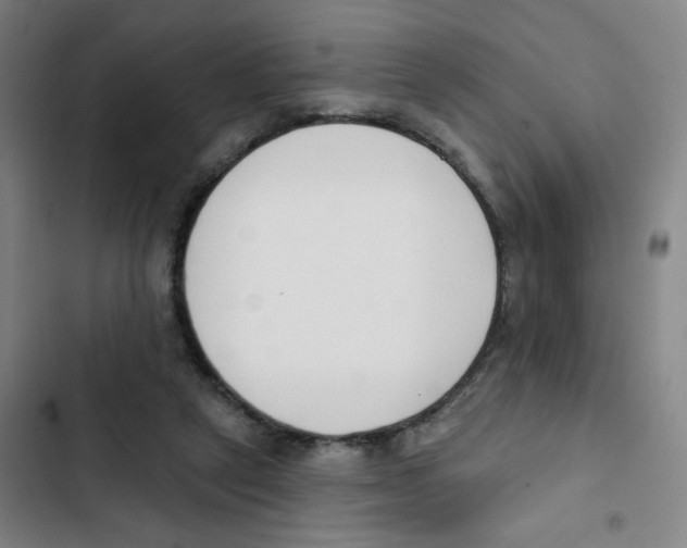 X0000102850257200809151134